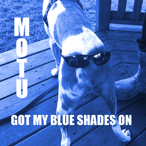 MOTU: GOT MY BLUE SHADES ON